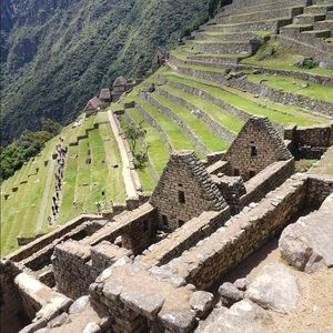 Meet your Posher, Belle